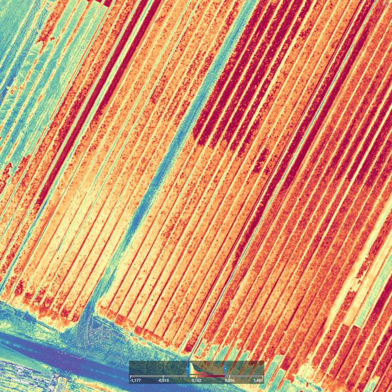 Pflanzenstress Analyse NRW – Multispektrale Heatmap bei Zierpflanzen