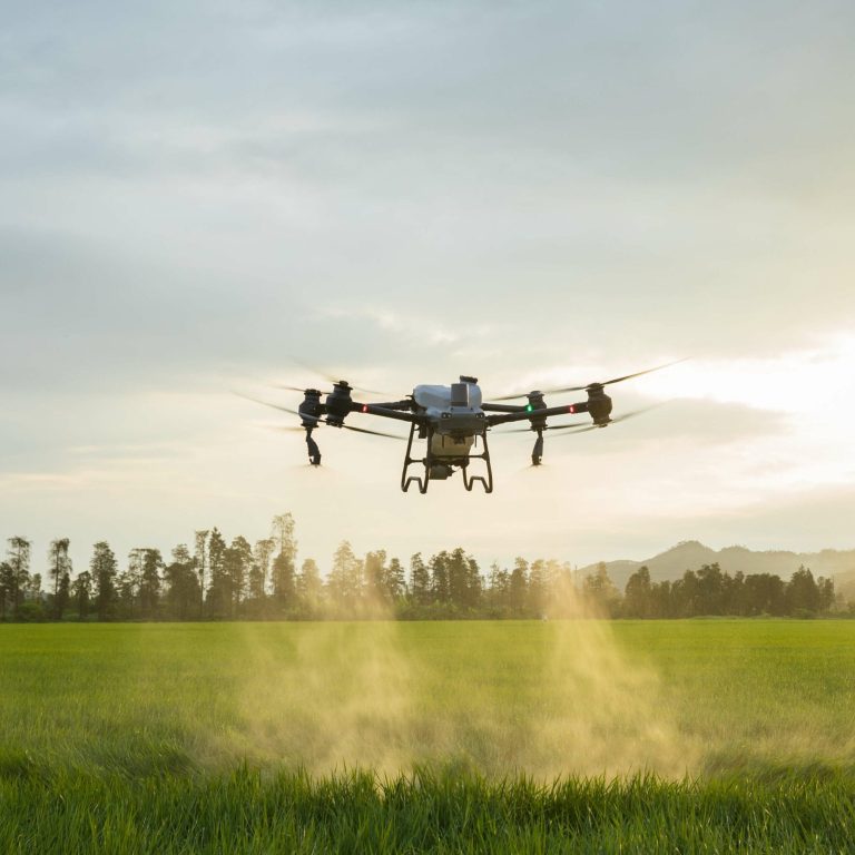 Ein Quadrocopter fliegt über eine Landschaft und sprüht Flüssigkeit.