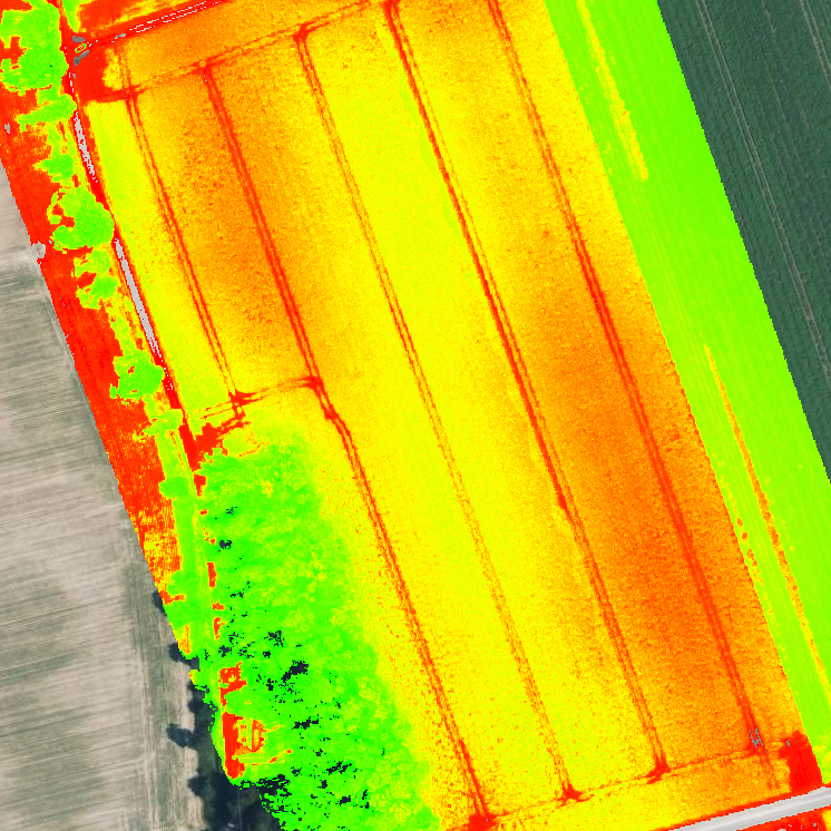 NDVI Analyse NRW – Pflanzenvitalität und Stresszonen erkennen